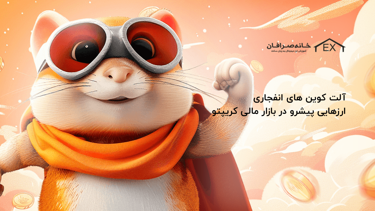 همستر کامبت | ویژگی‌های این میم کوین و پتانسیل رشد آن